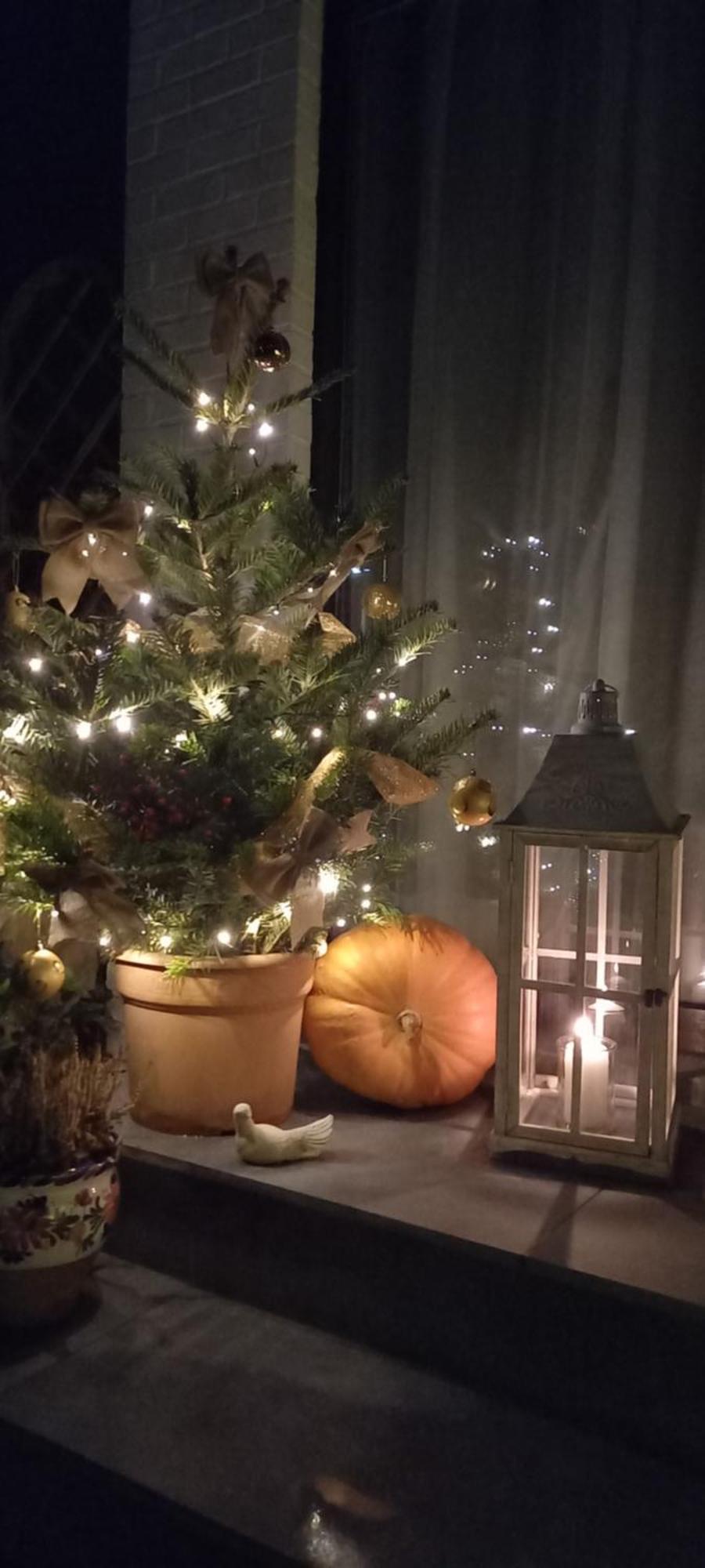 Cote Cosy Hotel Marche-en-Famenne Bagian luar foto