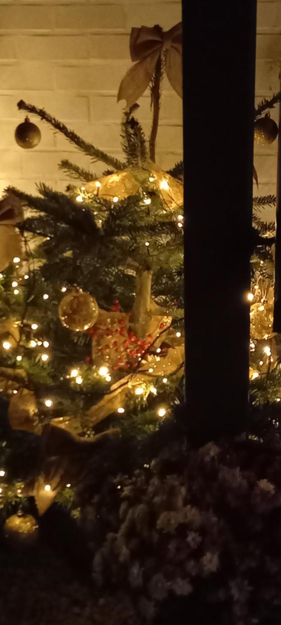 Cote Cosy Hotel Marche-en-Famenne Bagian luar foto